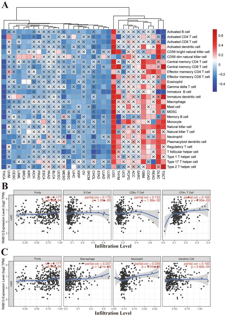 https://cdn.ncbi.nlm.nih.gov/pmc/blobs/3da0/10558570/59d2bcfa7c7e/41598_2023_43699_Fig6_HTML.jpg