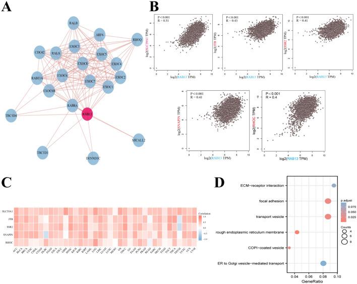 https://cdn.ncbi.nlm.nih.gov/pmc/blobs/3da0/10558570/8ae88ab1cfd6/41598_2023_43699_Fig5_HTML.jpg