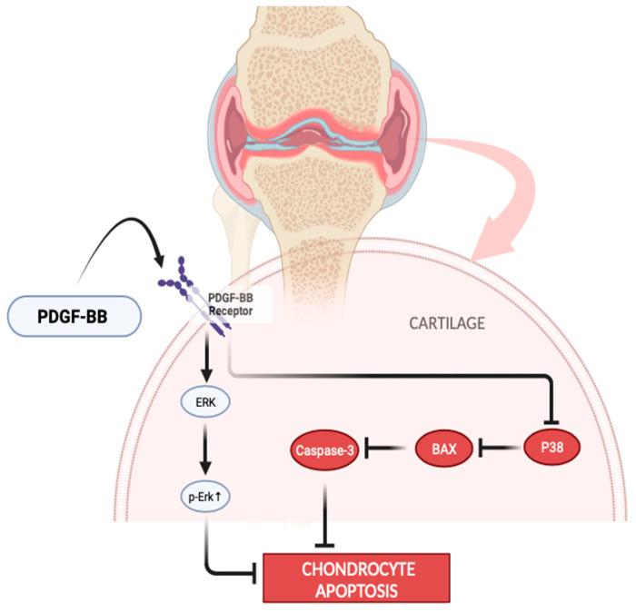 https://cdn.ncbi.nlm.nih.gov/pmc/blobs/3da1/10890090/bcb8573ffb1a/jpm-14-00183-g005.jpg