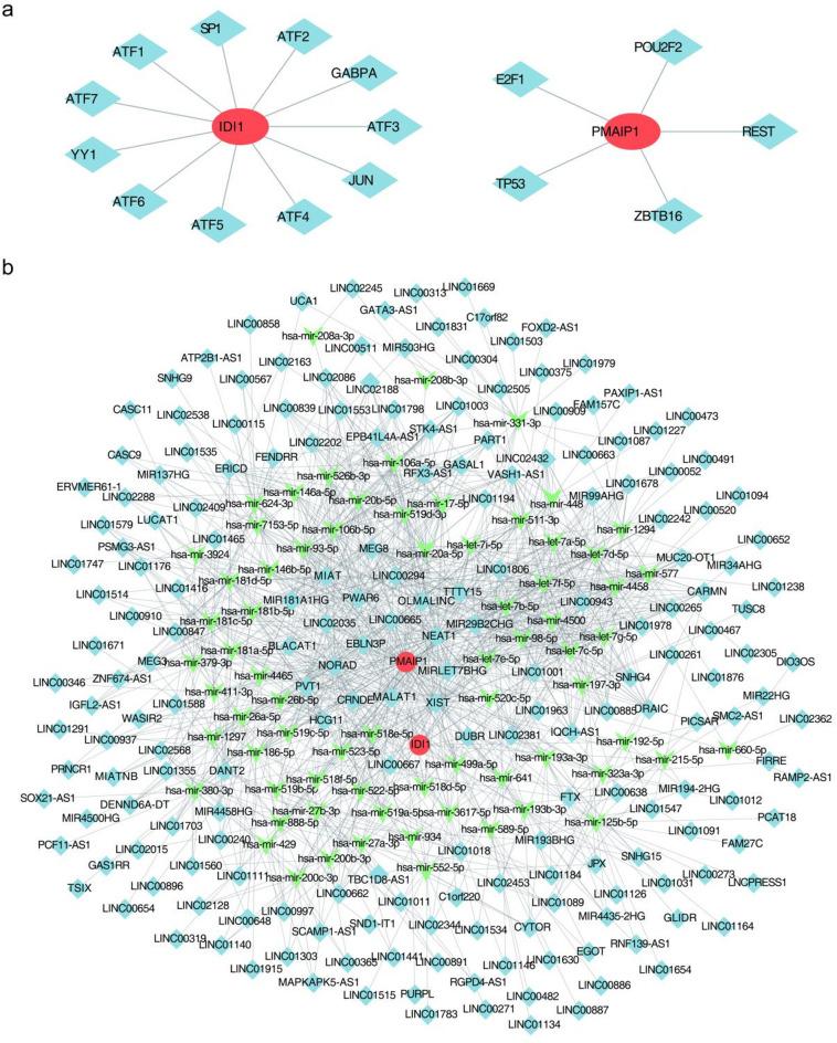 https://cdn.ncbi.nlm.nih.gov/pmc/blobs/3da1/12216652/fd40b210fb3b/41598_2025_5849_Fig6_HTML.jpg