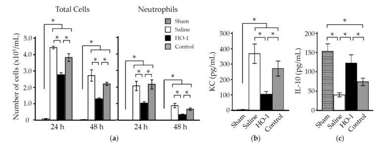 https://cdn.ncbi.nlm.nih.gov/pmc/blobs/3da2/7694015/10eb2713a62b/antioxidants-09-01049-g006.jpg