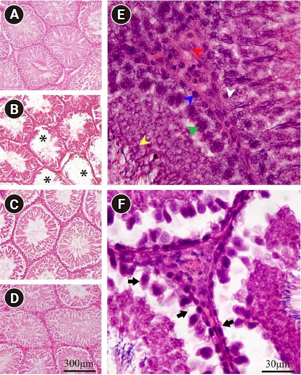 https://cdn.ncbi.nlm.nih.gov/pmc/blobs/3da4/11372310/631be62d1c5c/cerm-2023-06695f6.jpg