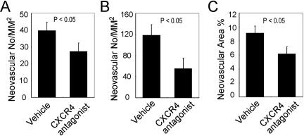 https://cdn.ncbi.nlm.nih.gov/pmc/blobs/3da4/3156784/109d5bb5e08d/mv-v17-2129-f6.jpg