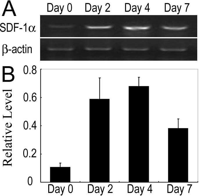 https://cdn.ncbi.nlm.nih.gov/pmc/blobs/3da4/3156784/8c59b4816ded/mv-v17-2129-f1.jpg