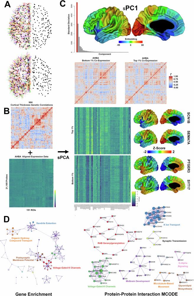 https://cdn.ncbi.nlm.nih.gov/pmc/blobs/3da6/11467331/5e6d8a3f1280/42003_2024_6956_Fig3_HTML.jpg