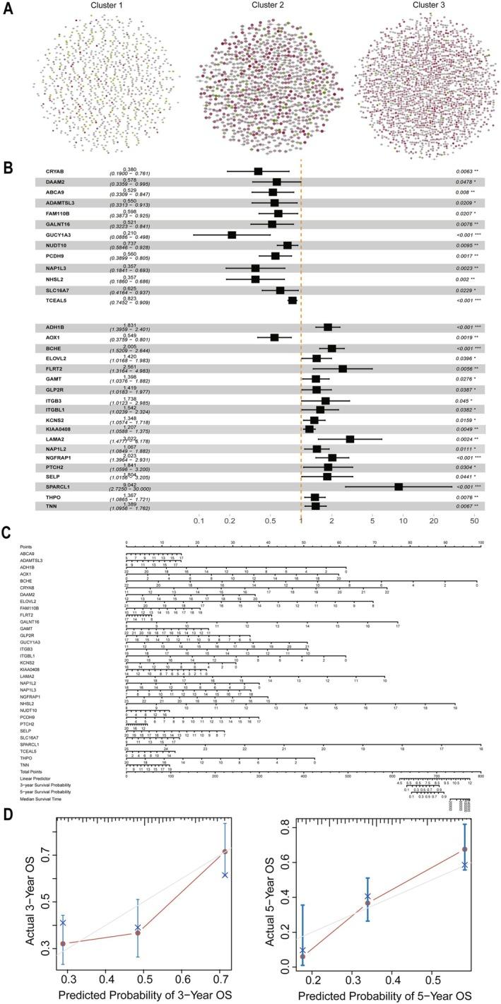 https://cdn.ncbi.nlm.nih.gov/pmc/blobs/3da6/12014852/2ca3bf467b05/CAM4-14-e70907-g009.jpg