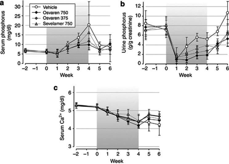 https://cdn.ncbi.nlm.nih.gov/pmc/blobs/3da6/3674404/0e171174fa97/ki201334f2.jpg