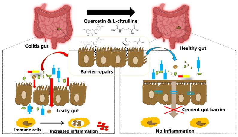 https://cdn.ncbi.nlm.nih.gov/pmc/blobs/3da6/8621968/0d516aac524d/nutrients-13-03782-g006.jpg
