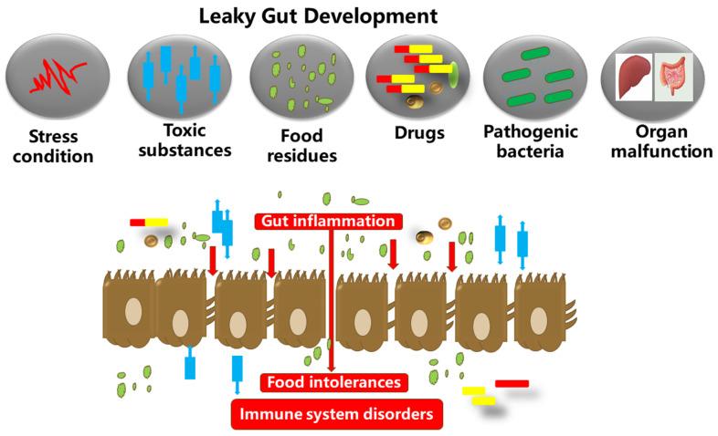 https://cdn.ncbi.nlm.nih.gov/pmc/blobs/3da6/8621968/eded94b787d6/nutrients-13-03782-g005.jpg
