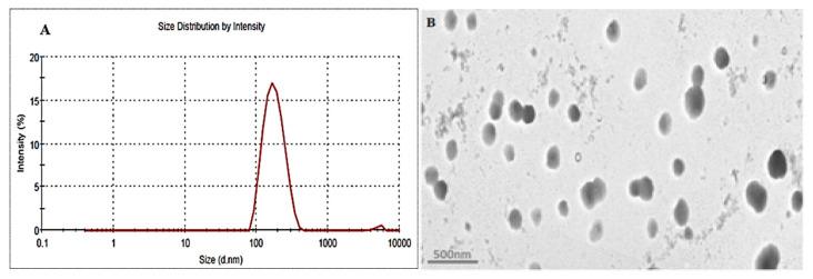 https://cdn.ncbi.nlm.nih.gov/pmc/blobs/3da6/8871625/d99cdef846ba/gels-08-00116-g004.jpg