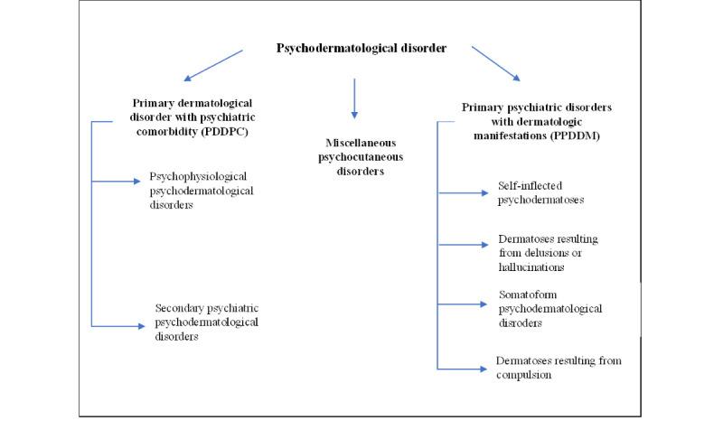 https://cdn.ncbi.nlm.nih.gov/pmc/blobs/3da7/10580141/3b2f793c0cfa/derma_v6i1e47769_fig1.jpg