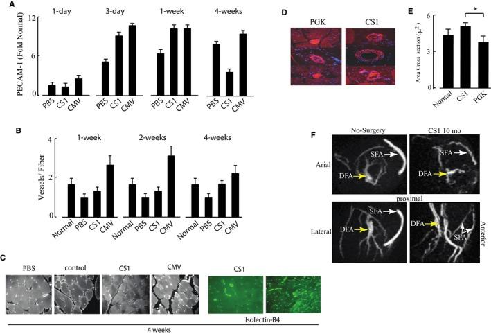 https://cdn.ncbi.nlm.nih.gov/pmc/blobs/3da7/4937238/37b00654b516/JAH3-5-e001815-g007.jpg