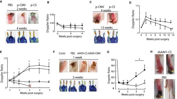https://cdn.ncbi.nlm.nih.gov/pmc/blobs/3da7/4937238/fdb00903a98f/JAH3-5-e001815-g005.jpg
