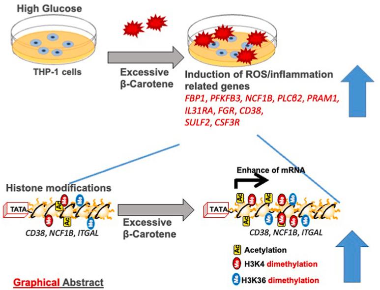 https://cdn.ncbi.nlm.nih.gov/pmc/blobs/3da8/9388881/3a73775cd907/ga1.jpg