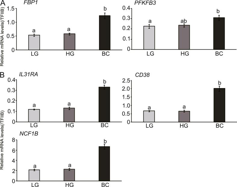https://cdn.ncbi.nlm.nih.gov/pmc/blobs/3da8/9388881/9e7f1d771cfe/gr2.jpg