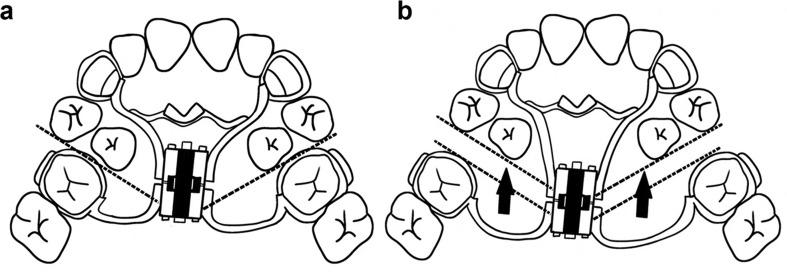 https://cdn.ncbi.nlm.nih.gov/pmc/blobs/3da9/11575218/f670ebb64f7c/12903_2024_5208_Fig1_HTML.jpg