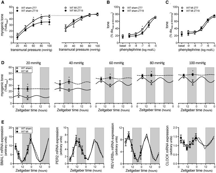 https://cdn.ncbi.nlm.nih.gov/pmc/blobs/3dab/10262184/01e518c7d3c2/cvac174f3.jpg