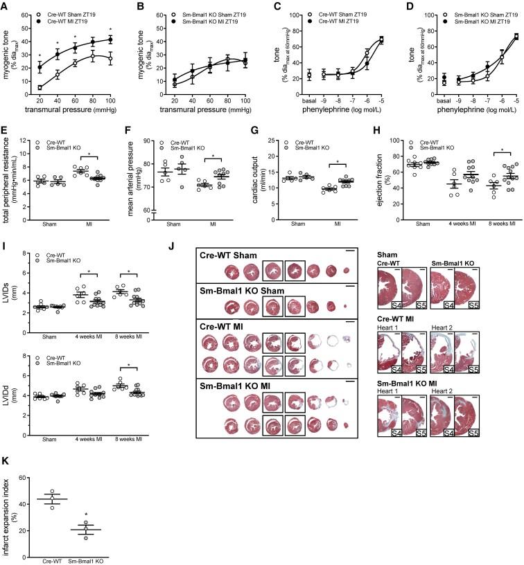 https://cdn.ncbi.nlm.nih.gov/pmc/blobs/3dab/10262184/066801c5e48f/cvac174f5.jpg
