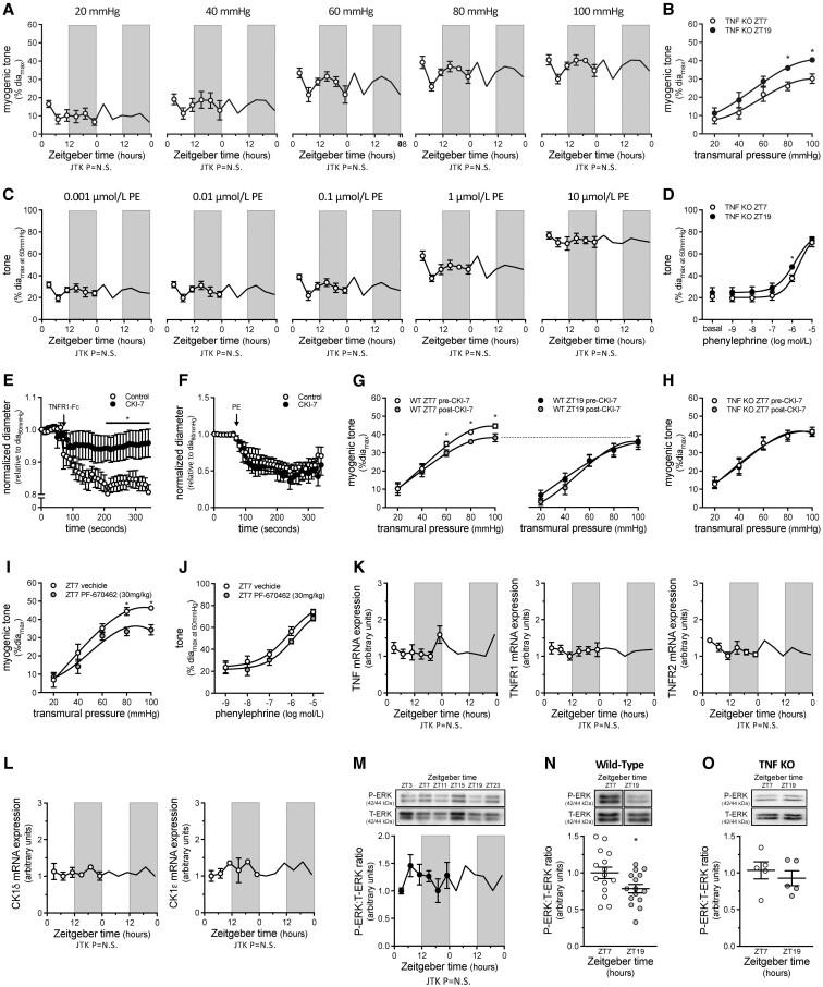 https://cdn.ncbi.nlm.nih.gov/pmc/blobs/3dab/10262184/25a96826b8fa/cvac174f2.jpg
