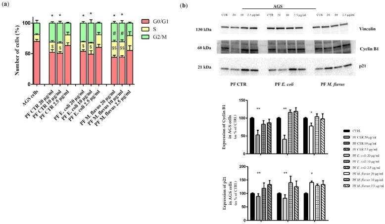 https://cdn.ncbi.nlm.nih.gov/pmc/blobs/3dab/11899352/25816ed761d2/ijms-26-01885-g010.jpg