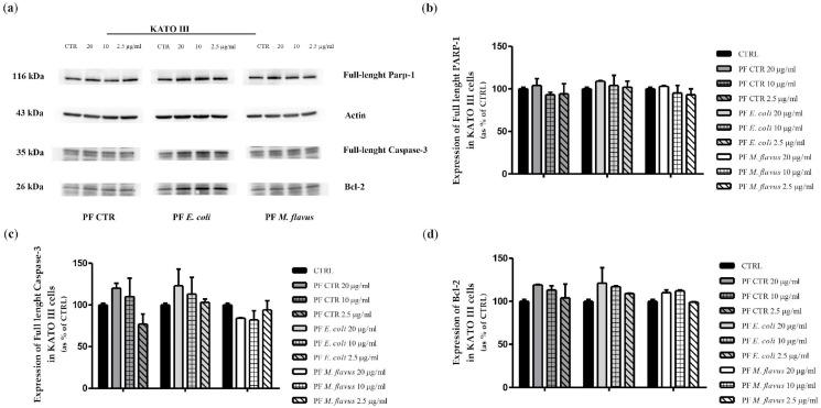 https://cdn.ncbi.nlm.nih.gov/pmc/blobs/3dab/11899352/c18d77d33bef/ijms-26-01885-g007.jpg
