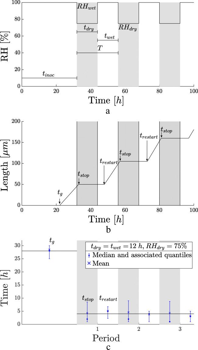 https://cdn.ncbi.nlm.nih.gov/pmc/blobs/3dab/8236038/ac42eb8b8873/253_2021_11343_Fig2_HTML.jpg