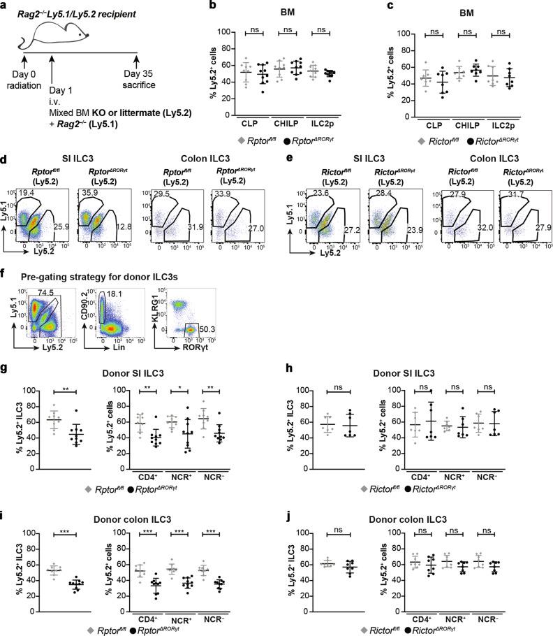 https://cdn.ncbi.nlm.nih.gov/pmc/blobs/3dab/8528695/b4ac962f3667/41385_2021_432_Fig2_HTML.jpg