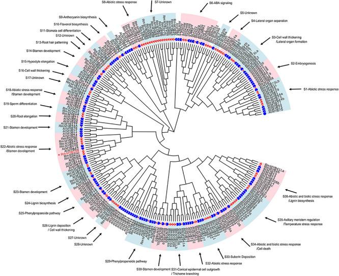 https://cdn.ncbi.nlm.nih.gov/pmc/blobs/3dac/8353178/21822567cf45/fpls-12-696919-g001.jpg