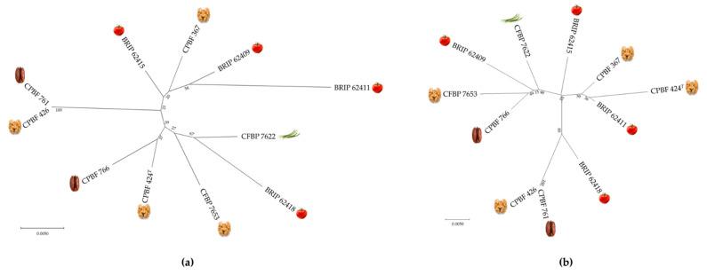 https://cdn.ncbi.nlm.nih.gov/pmc/blobs/3dae/9227330/baa9b2b3eed9/microorganisms-10-01078-g006.jpg