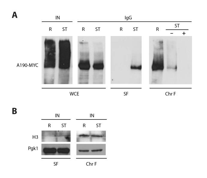 https://cdn.ncbi.nlm.nih.gov/pmc/blobs/3daf/5362265/ed384bf496dc/elife-20832-fig1-figsupp4.jpg