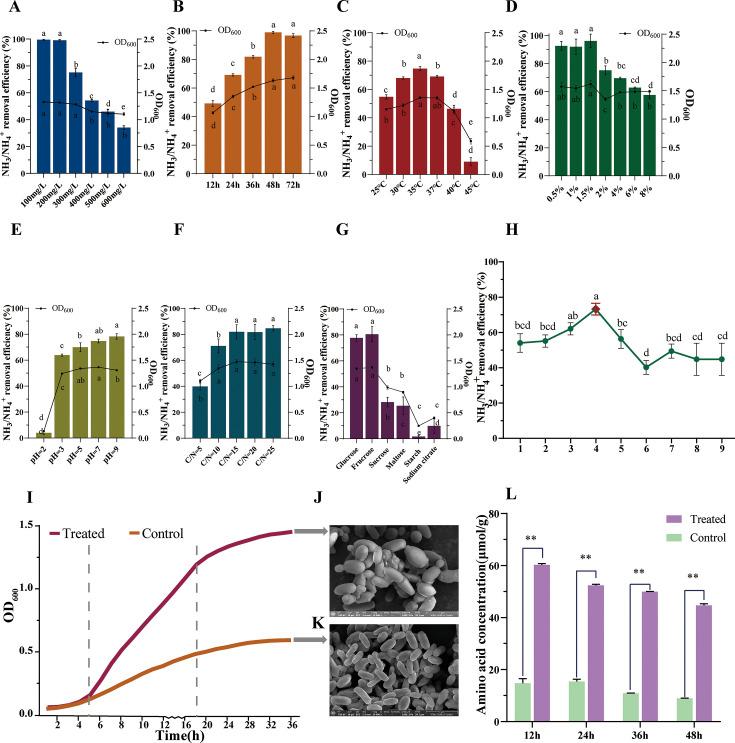 https://cdn.ncbi.nlm.nih.gov/pmc/blobs/3db1/12175507/9b2068d5248d/aem.02211-24.f001.jpg