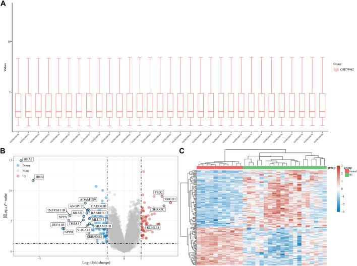 https://cdn.ncbi.nlm.nih.gov/pmc/blobs/3db3/10076593/b81596053c0f/fgene-14-1170737-g001.jpg