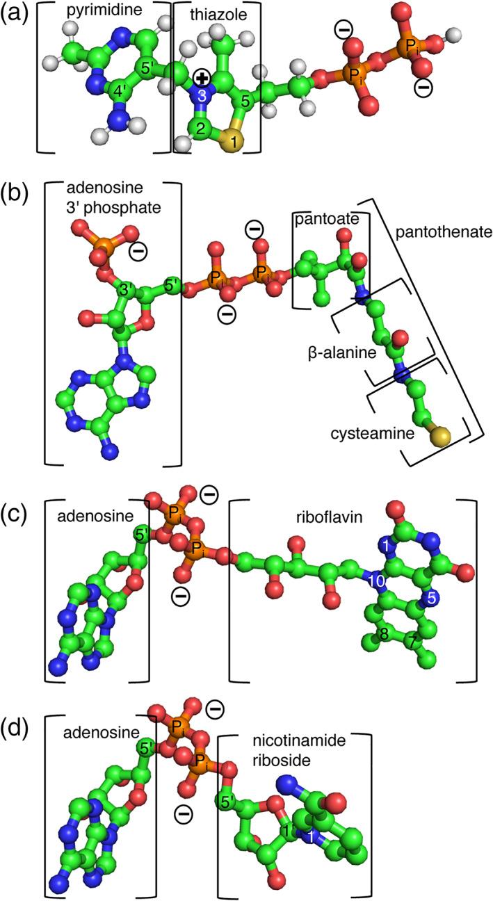 https://cdn.ncbi.nlm.nih.gov/pmc/blobs/3db5/9311062/d476906d18a9/IUB-74-592-g005.jpg