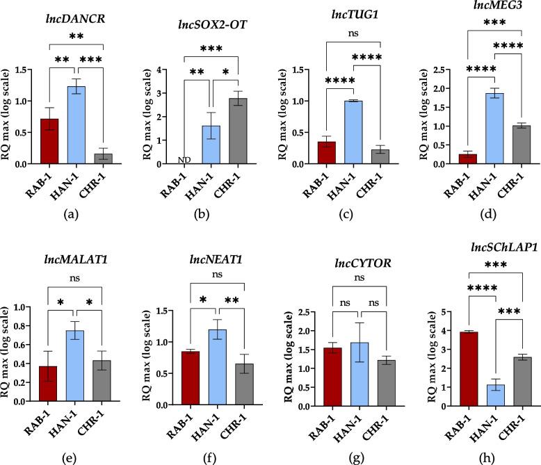 https://cdn.ncbi.nlm.nih.gov/pmc/blobs/3db6/10860276/25b0d9e63cef/12885_2023_11807_Fig8_HTML.jpg