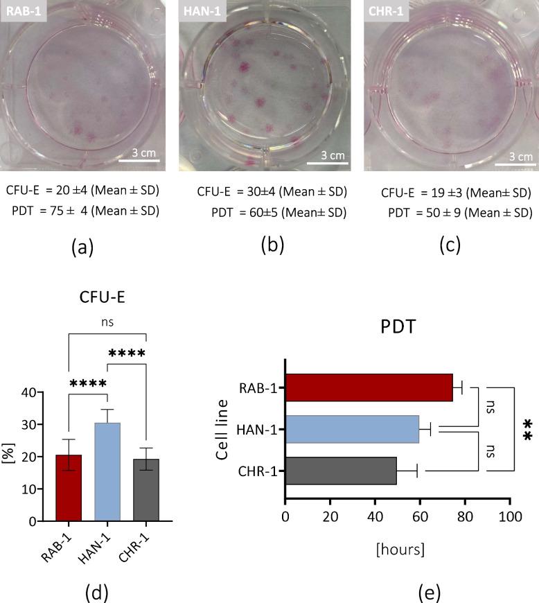 https://cdn.ncbi.nlm.nih.gov/pmc/blobs/3db6/10860276/81ce12813754/12885_2023_11807_Fig5_HTML.jpg