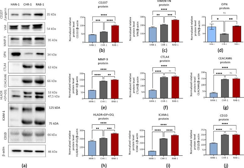 https://cdn.ncbi.nlm.nih.gov/pmc/blobs/3db6/10860276/b3ec0a675c70/12885_2023_11807_Fig10_HTML.jpg