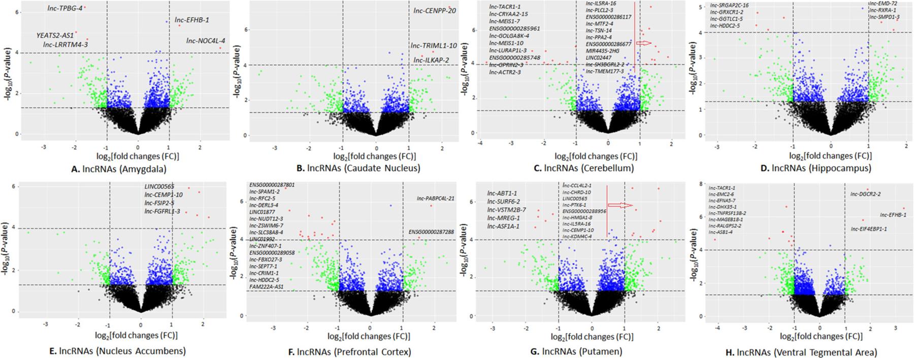https://cdn.ncbi.nlm.nih.gov/pmc/blobs/3dbd/11531342/626f8239e695/nihms-2027660-f0001.jpg
