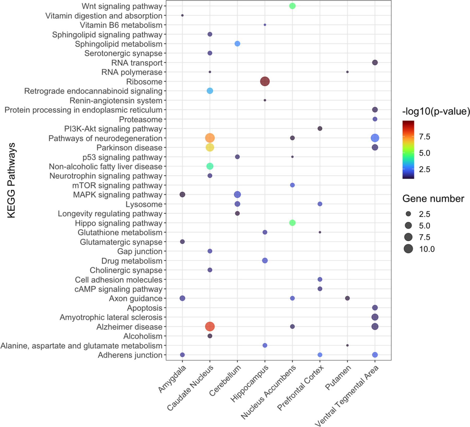 https://cdn.ncbi.nlm.nih.gov/pmc/blobs/3dbd/11531342/8c1287226760/nihms-2027660-f0005.jpg