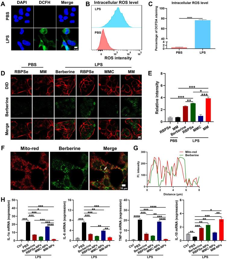 https://cdn.ncbi.nlm.nih.gov/pmc/blobs/3dbd/12087599/113097abaa87/IJN-20-6163-g0003.jpg