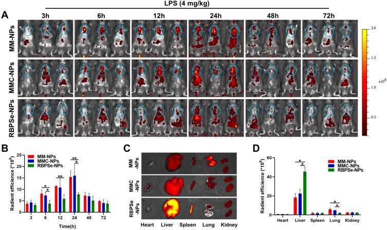 https://cdn.ncbi.nlm.nih.gov/pmc/blobs/3dbd/12087599/98303b0c7dd7/IJN-20-6163-g0004.jpg