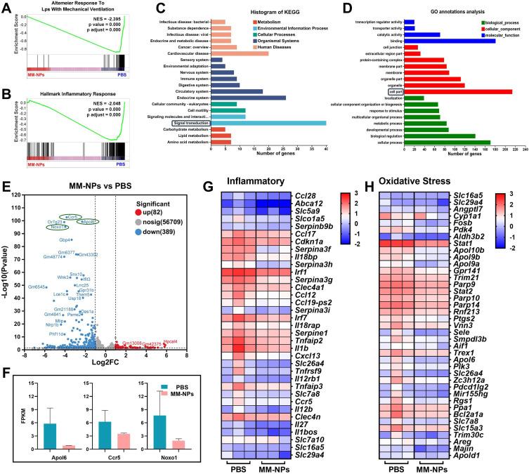 https://cdn.ncbi.nlm.nih.gov/pmc/blobs/3dbd/12087599/bf096bde7042/IJN-20-6163-g0006.jpg