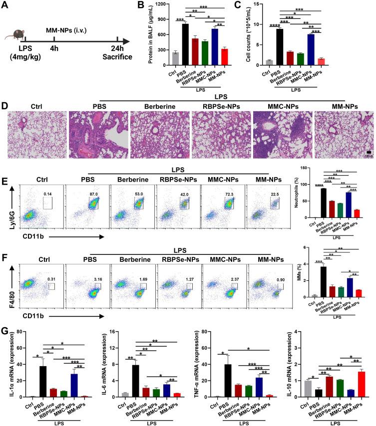https://cdn.ncbi.nlm.nih.gov/pmc/blobs/3dbd/12087599/ca08d913274f/IJN-20-6163-g0005.jpg