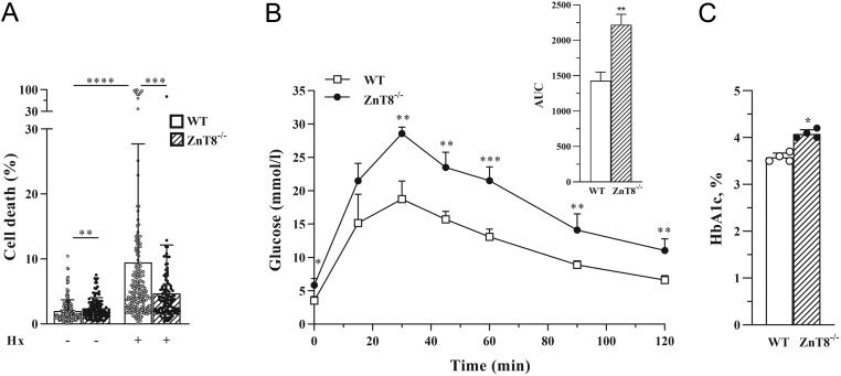 https://cdn.ncbi.nlm.nih.gov/pmc/blobs/3dbe/8859919/66a8e097d256/JOE-21-0271fig1.jpg