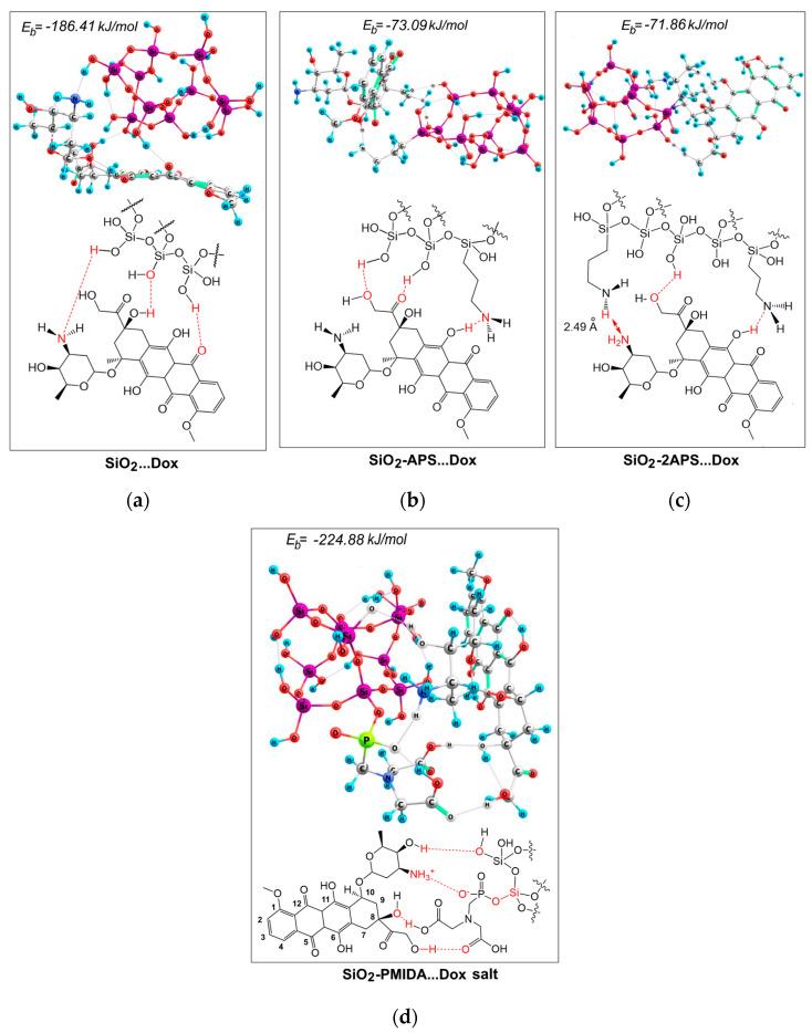 https://cdn.ncbi.nlm.nih.gov/pmc/blobs/3dbf/9694706/755cf1f5513f/pharmaceutics-14-02271-g007.jpg