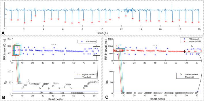 https://cdn.ncbi.nlm.nih.gov/pmc/blobs/3dc5/9012152/ab1bfce2c19c/fphys-13-890139-g007.jpg