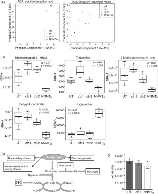 https://cdn.ncbi.nlm.nih.gov/pmc/blobs/3dc6/9178377/258896eb68f7/CTM2-12-e883-g005.jpg