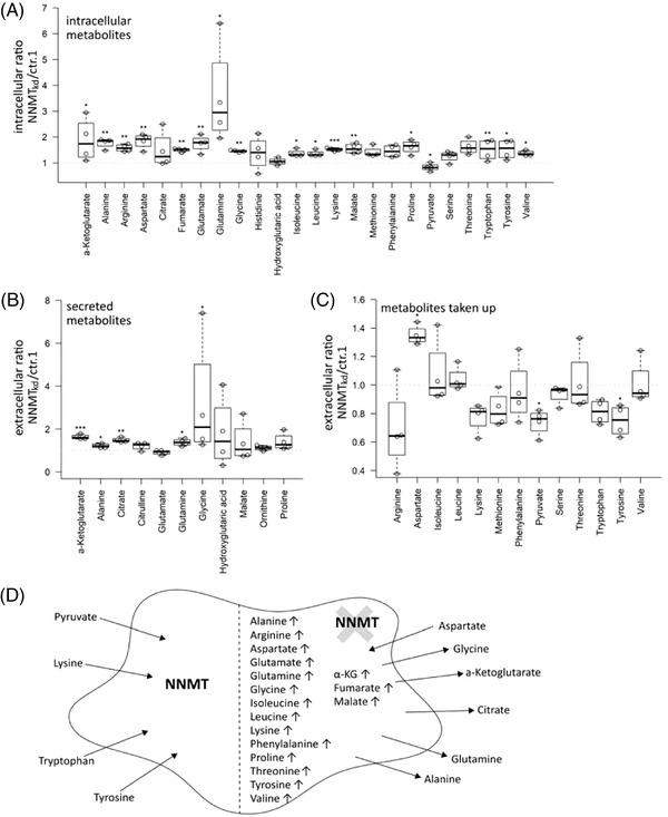 https://cdn.ncbi.nlm.nih.gov/pmc/blobs/3dc6/9178377/af01d03eafee/CTM2-12-e883-g003.jpg