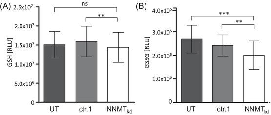 https://cdn.ncbi.nlm.nih.gov/pmc/blobs/3dc6/9178377/d5eb9ee745b7/CTM2-12-e883-g002.jpg