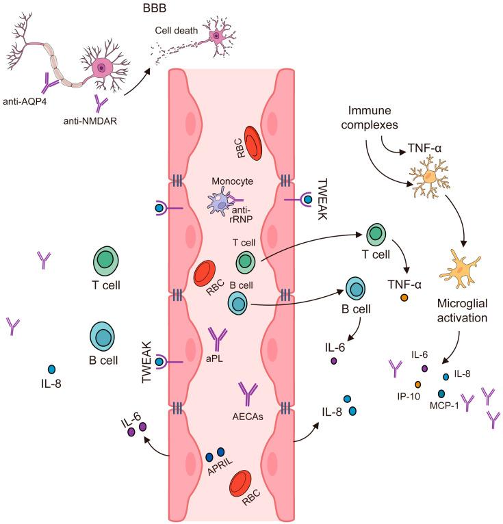 https://cdn.ncbi.nlm.nih.gov/pmc/blobs/3dc8/10892692/0cf1e0661c9e/molecules-29-00747-g002.jpg