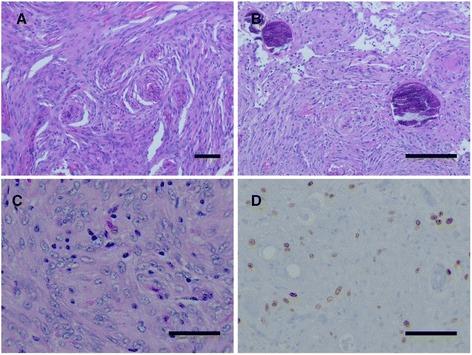 https://cdn.ncbi.nlm.nih.gov/pmc/blobs/3dc8/5307647/a69096312768/12885_2017_3127_Fig2_HTML.jpg